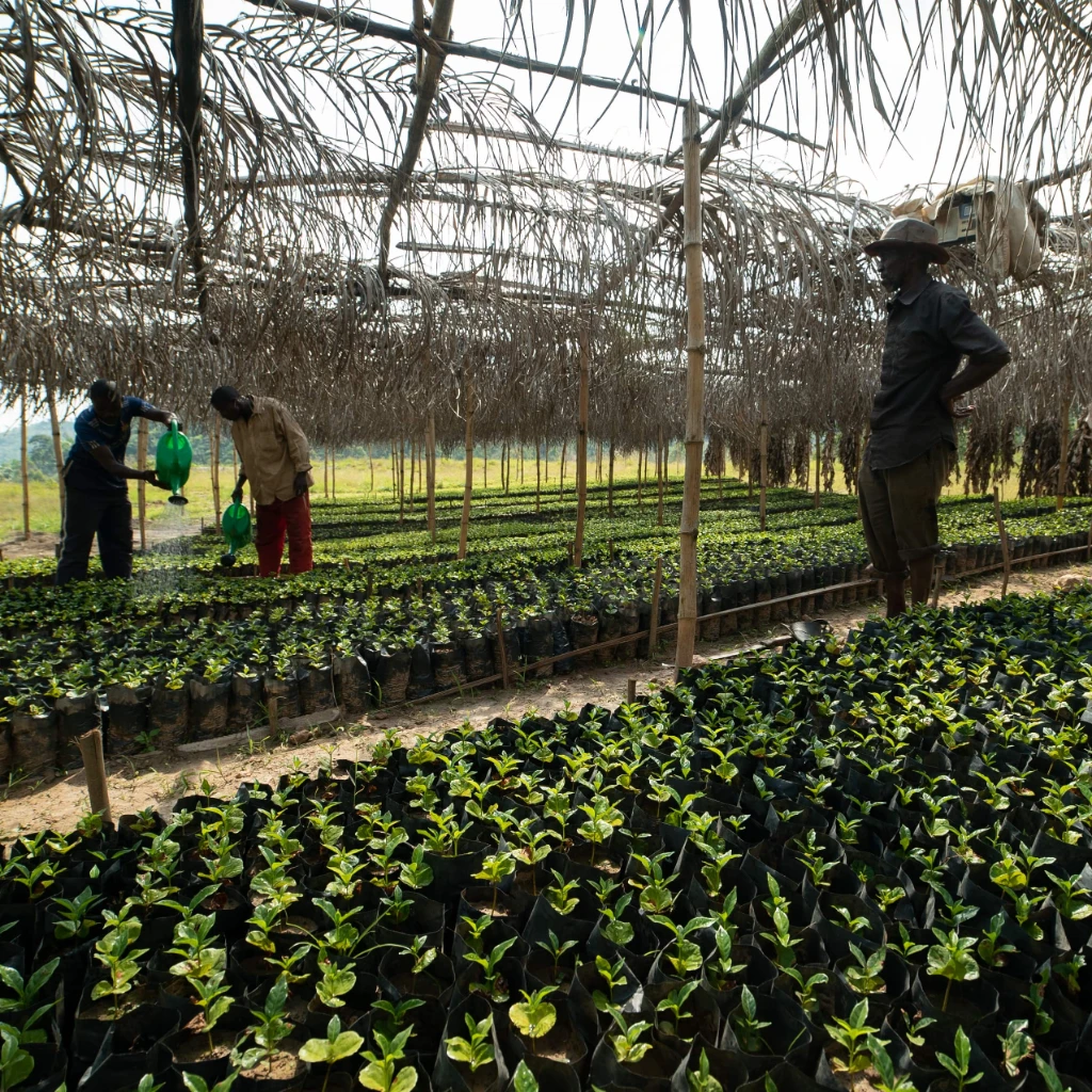 31_Selecta Coffee Fund_2-min.jpg