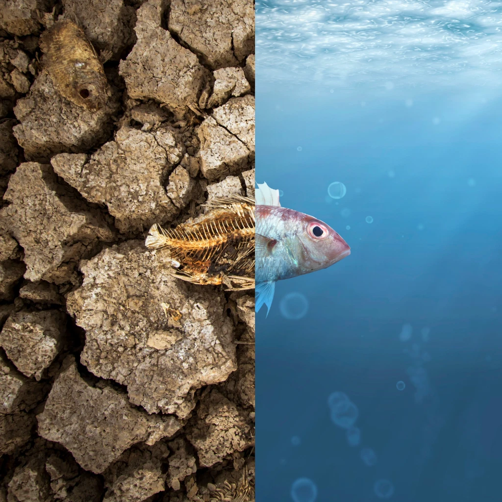 57_Zero waste offer-min.jpg