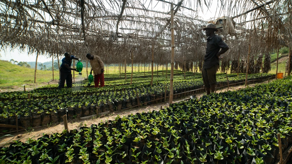 31_Selecta Coffee Fund_2.jpg